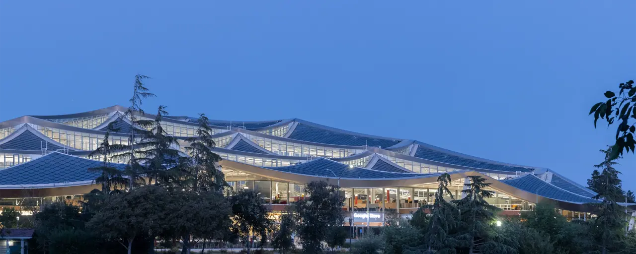 Nightime exterior photo of Google's Gradient Canopy office in Silicon Valley, California, with trees in the foreground and the office building in the background