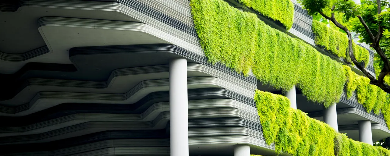 View of greenery, a wall of green plants and hedges