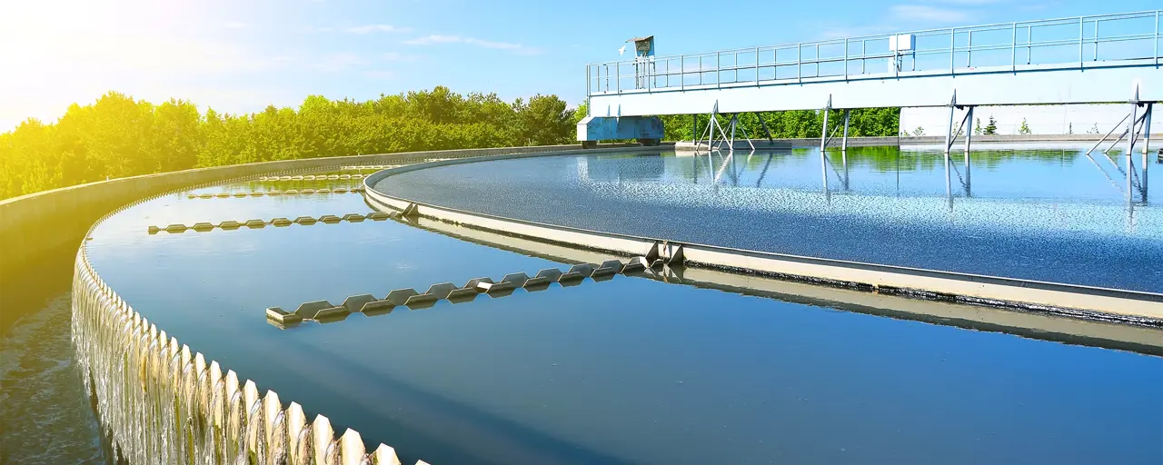 View of water and the nature in the background