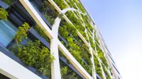 Exterior of tall building with green foliage