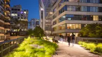 People walking beside high rise buildings at night