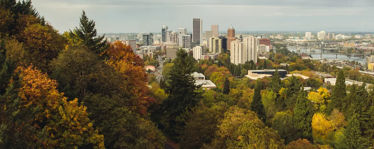 Colourful green brown and orange trees with tall city buildings alongside it