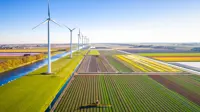 Field being harvested with wind turbines adjacent.