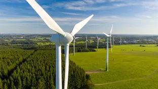 Wind turbines on a green field